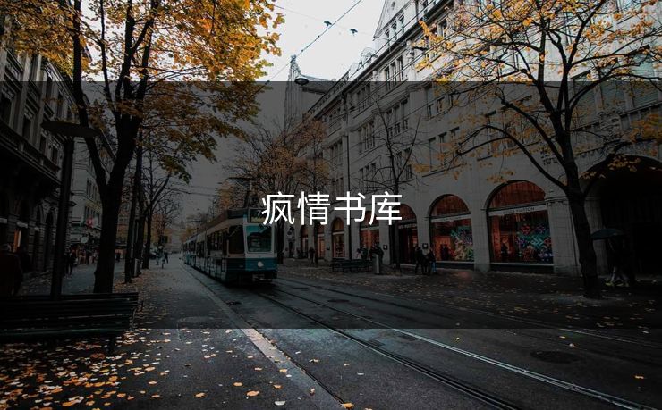 疯情书库
