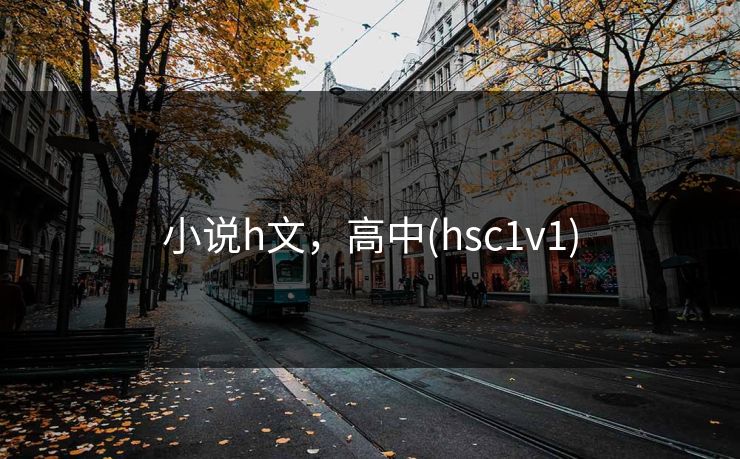 小说h文，高中(hsc1v1)